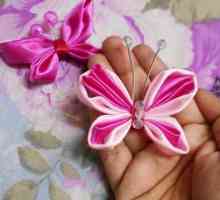 Fluturele de pe casete cu mâinile lor: instrucțiuni pas cu pas, idei interesante și recomandări