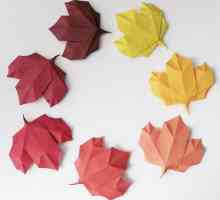 Cum se face o frunză de arțar origami conform schemei