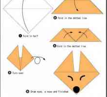 Fox-origami: clasă de master în asamblare